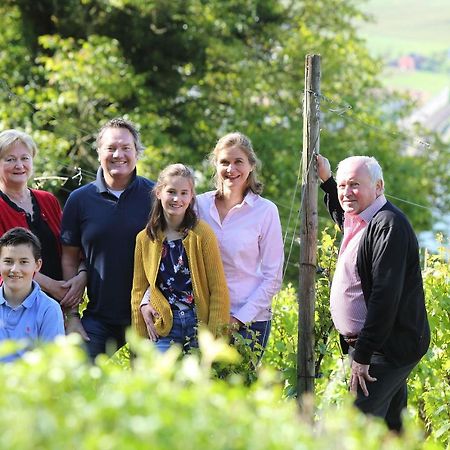 Weingut Matthias Dostert / Culinarium Hotel Nittel Exterior foto