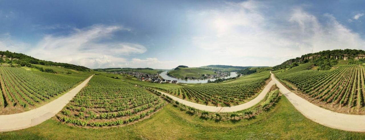 Weingut Matthias Dostert / Culinarium Hotel Nittel Exterior foto